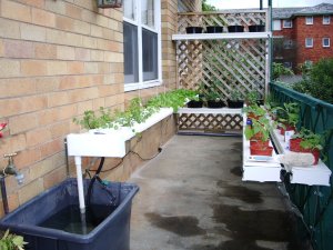 Urban hydroponic agriculture