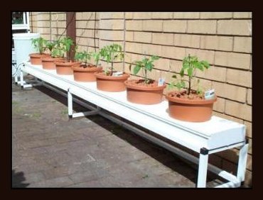 Hydroponically grown home produce